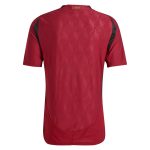 Explore belgium national team adidas 2024 home authentic jersey – burgundy – Germany Football Jerseys & T-Shirts Collection