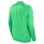 Explore brazil national team nike 2022 academy pro anthem performance raglan full-zip jacket – green – Germany Football Jerseys & T-Shirts Collection