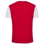 Explore denmark national team block t-shirt – red – Germany Football Jerseys & T-Shirts Collection