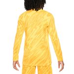 Explore france national team nike youth 2024 goalkeeper replica stadium long sleeve jersey – yellow – Germany Football Jerseys & T-Shirts Collection