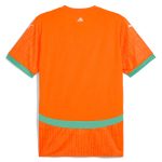 Explore ivory coast national team puma 2025 home replica jersey – orange – Germany Football Jerseys & T-Shirts Collection