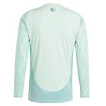 Explore mexico national team adidas 2024 away replica long sleeve jersey – green – Germany Football Jerseys & T-Shirts Collection