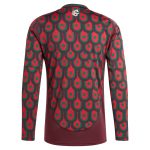 Explore mexico national team adidas 2024 home replica long sleeve jersey – burgundy – Germany Football Jerseys & T-Shirts Collection