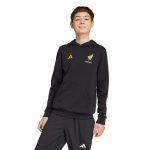 Explore mexico national team adidas youth 2025 third jersey dna pullover hoodie – black – Germany Football Jerseys & T-Shirts Collection