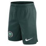 Explore nigeria national team nike home performance stadium shorts – green – Germany Football Jerseys & T-Shirts Collection