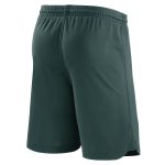 Explore nigeria national team nike home performance stadium shorts – green – Germany Football Jerseys & T-Shirts Collection