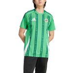Explore northern ireland national team adidas 2024 home replica jersey – green – Germany Football Jerseys & T-Shirts Collection