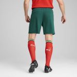 Explore portugal national team puma 2025 home replica shorts – green – Germany Football Jerseys & T-Shirts Collection