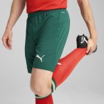 Explore portugal national team puma 2025 home replica shorts – green – Germany Football Jerseys & T-Shirts Collection