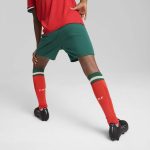 Explore portugal national team puma youth replica shorts – green – Germany Football Jerseys & T-Shirts Collection