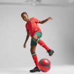 Explore portugal national team puma youth replica shorts – green – Germany Football Jerseys & T-Shirts Collection