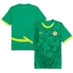 Explore senegal national team puma 2025 away replica jersey – green – Germany Football Jerseys & T-Shirts Collection