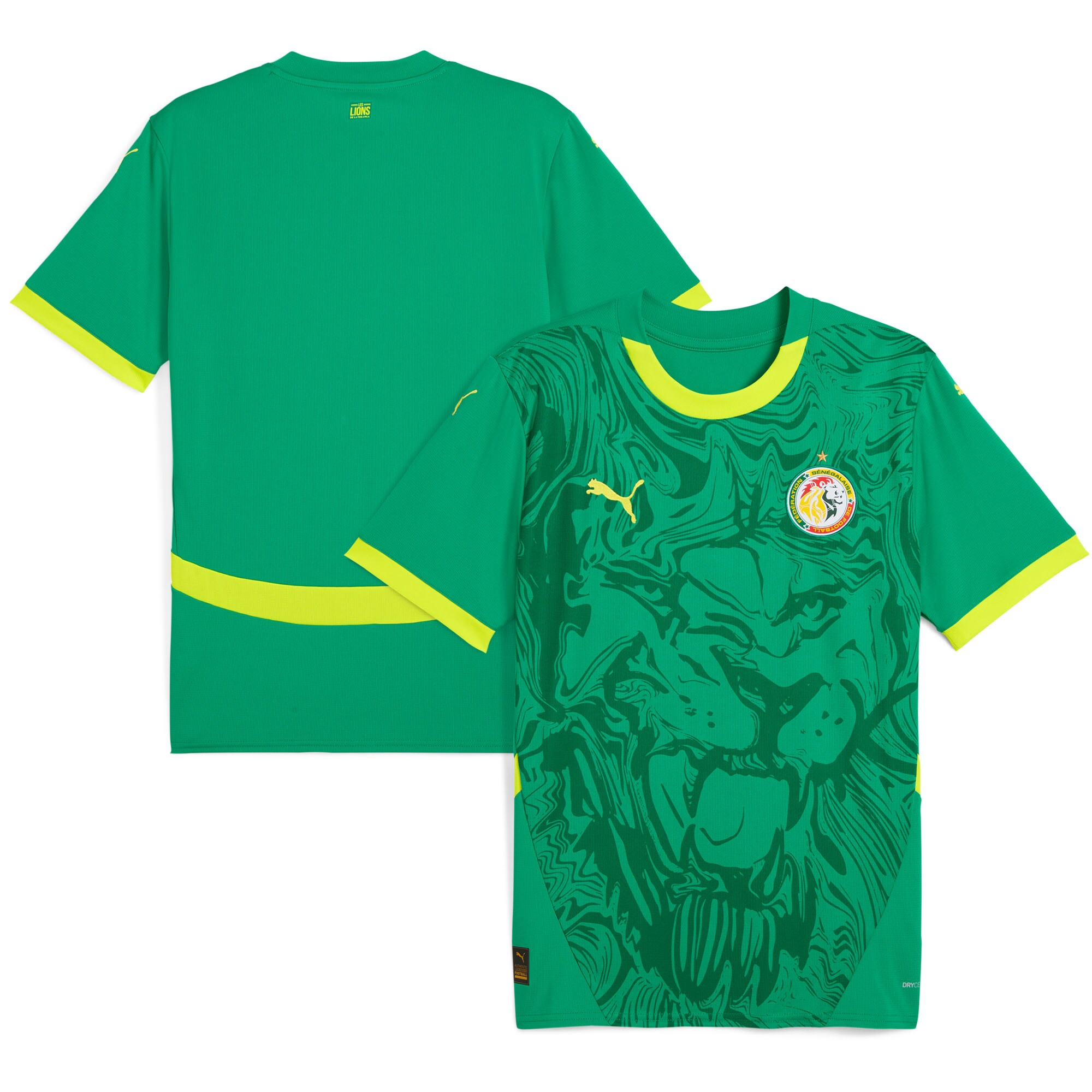 Explore senegal national team puma 2025 away replica jersey – green – Germany Football Jerseys & T-Shirts Collection