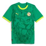 Explore senegal national team puma 2025 away replica jersey – green – Germany Football Jerseys & T-Shirts Collection