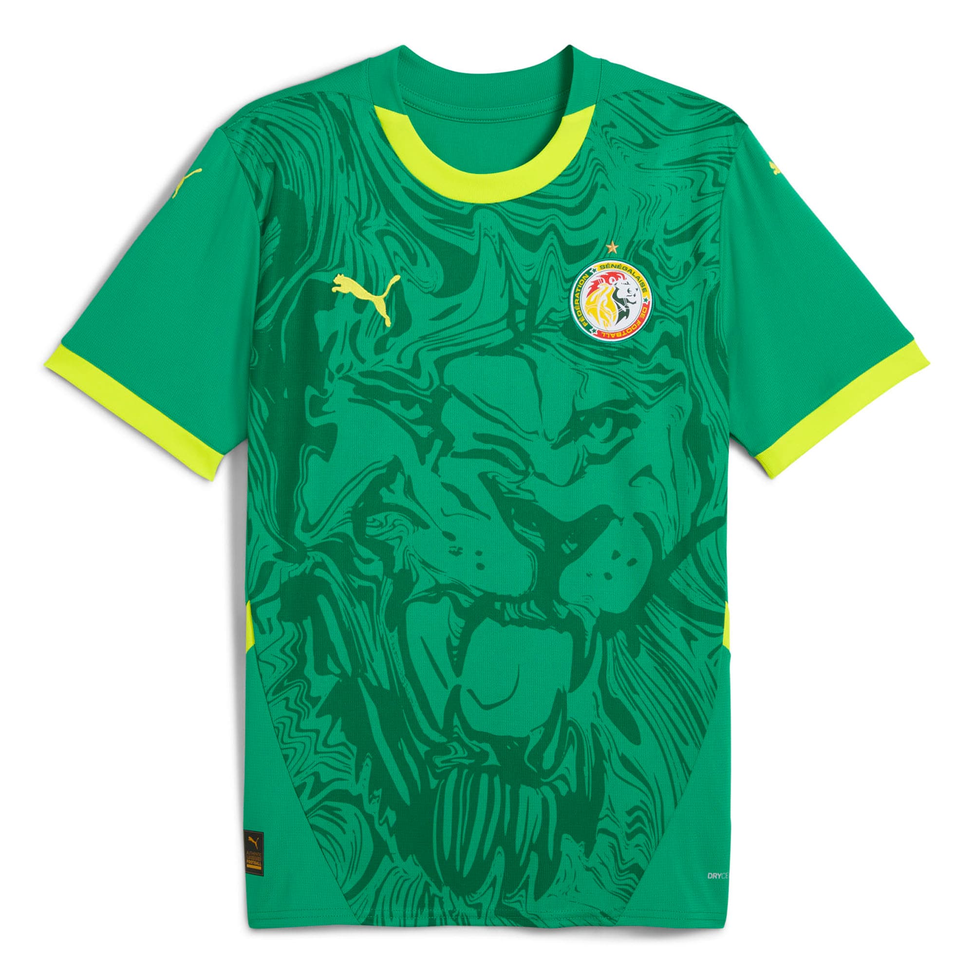 Explore senegal national team puma 2025 away replica jersey – green – Germany Football Jerseys & T-Shirts Collection