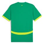 Explore senegal national team puma 2025 away replica jersey – green – Germany Football Jerseys & T-Shirts Collection