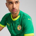 Explore senegal national team puma 2025 away replica jersey – green – Germany Football Jerseys & T-Shirts Collection