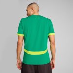 Explore senegal national team puma 2025 away replica jersey – green – Germany Football Jerseys & T-Shirts Collection