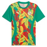 Explore senegal national team puma 2025 pre-match jersey – green – Germany Football Jerseys & T-Shirts Collection