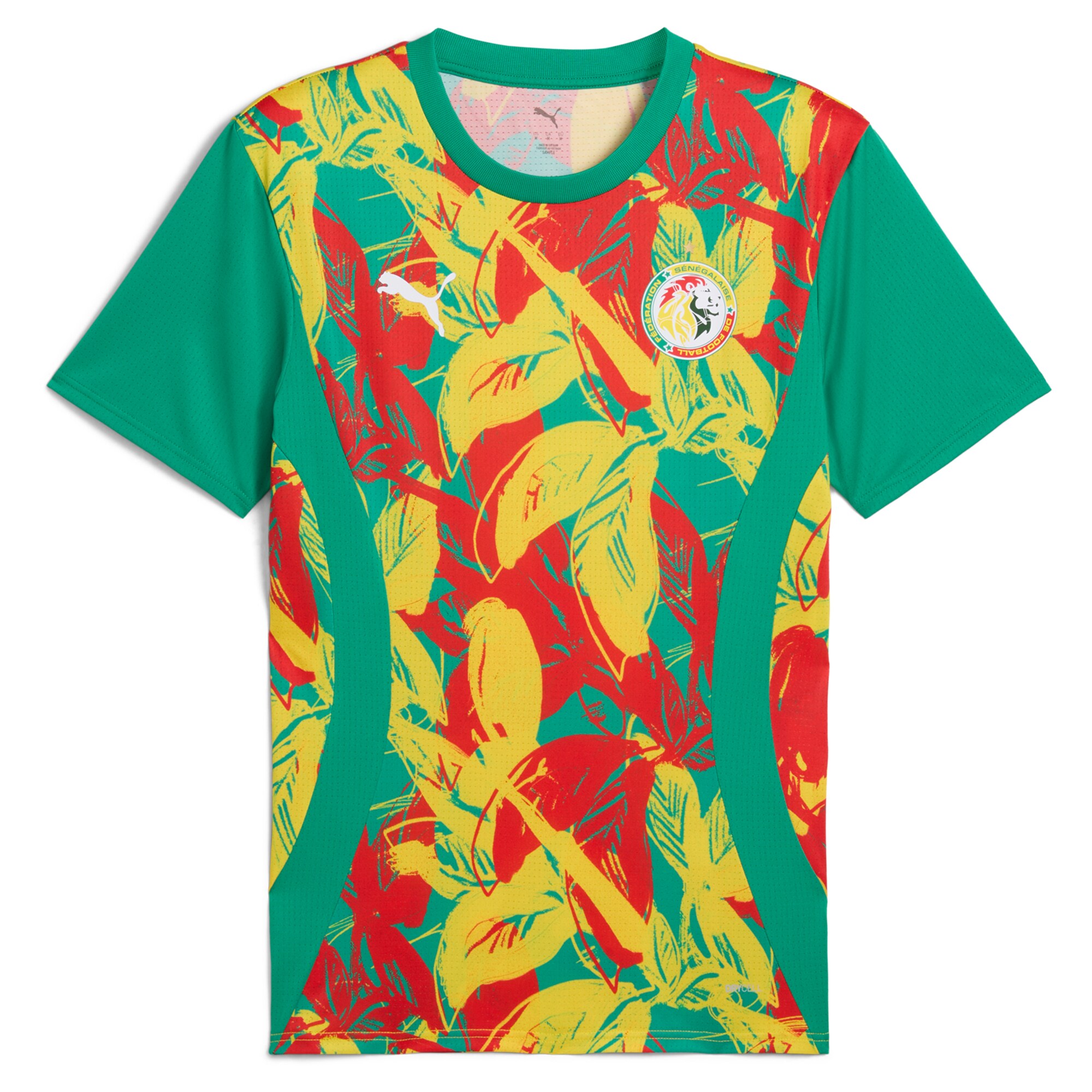 Explore senegal national team puma 2025 pre-match jersey – green – Germany Football Jerseys & T-Shirts Collection