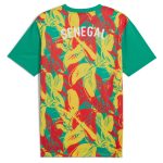Explore senegal national team puma 2025 pre-match jersey – green – Germany Football Jerseys & T-Shirts Collection
