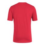 Explore spain national team adidas 2024 european champions t-shirt – red – Germany Football Jerseys & T-Shirts Collection