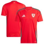 Explore wales national team adidas 2024 home replica jersey – scarlet – Germany Football Jerseys & T-Shirts Collection