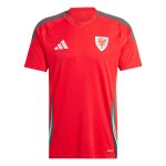 Explore wales national team adidas 2024 home replica jersey – scarlet – Germany Football Jerseys & T-Shirts Collection
