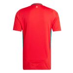 Explore wales national team adidas 2024 home replica jersey – scarlet – Germany Football Jerseys & T-Shirts Collection